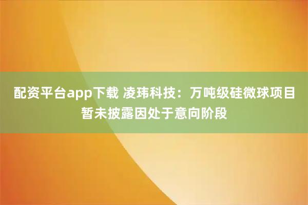 配资平台app下载 凌玮科技：万吨级硅微球项目暂未披露因处于意向阶段